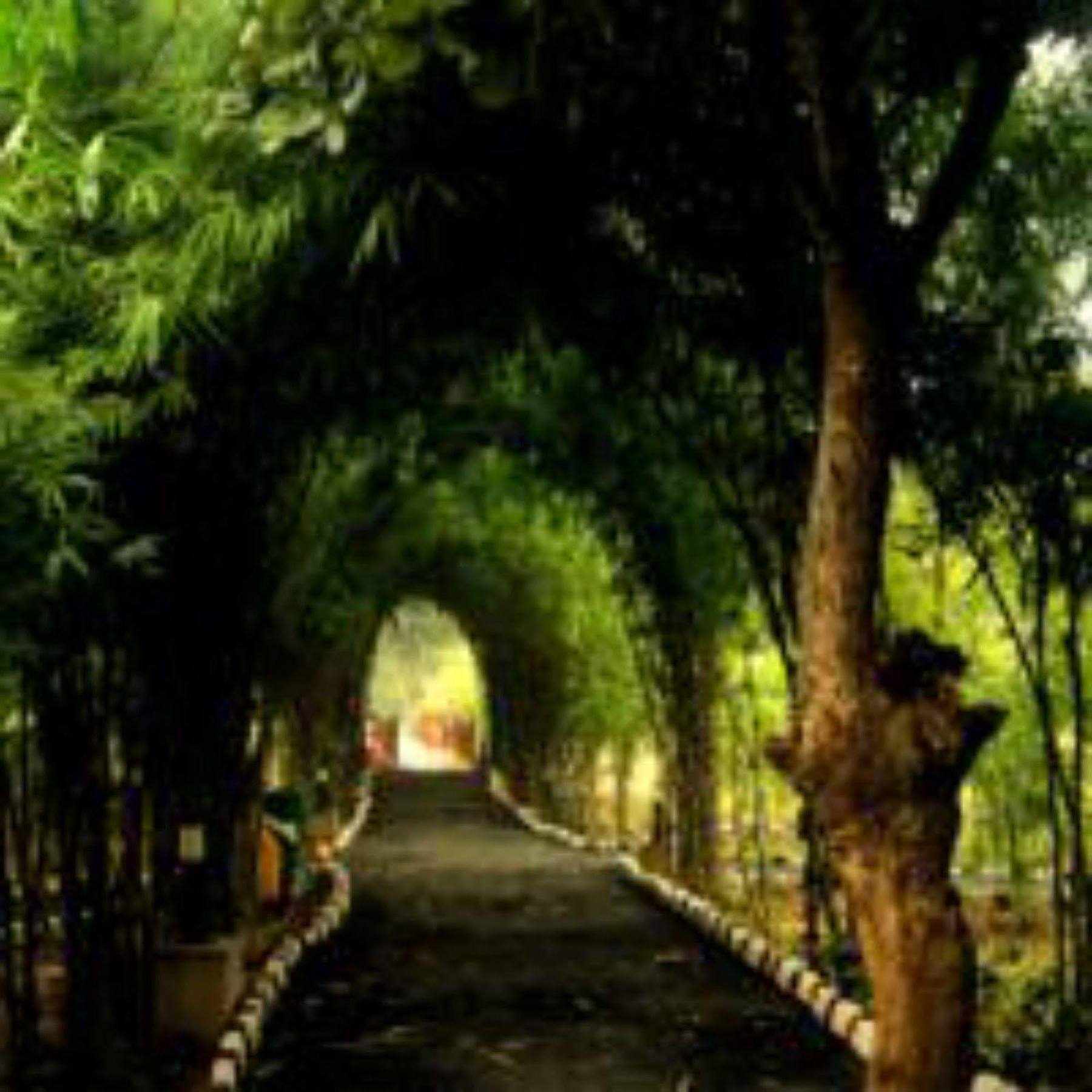Lemon Tree Wildlife Resort, Bandhavgarh Tāla Exterior foto